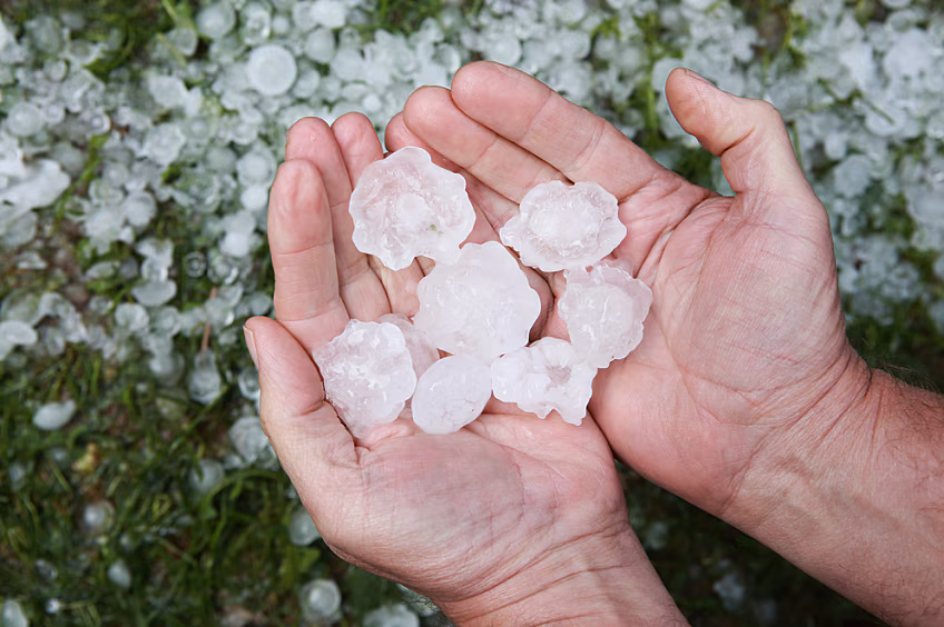 Hail in hands